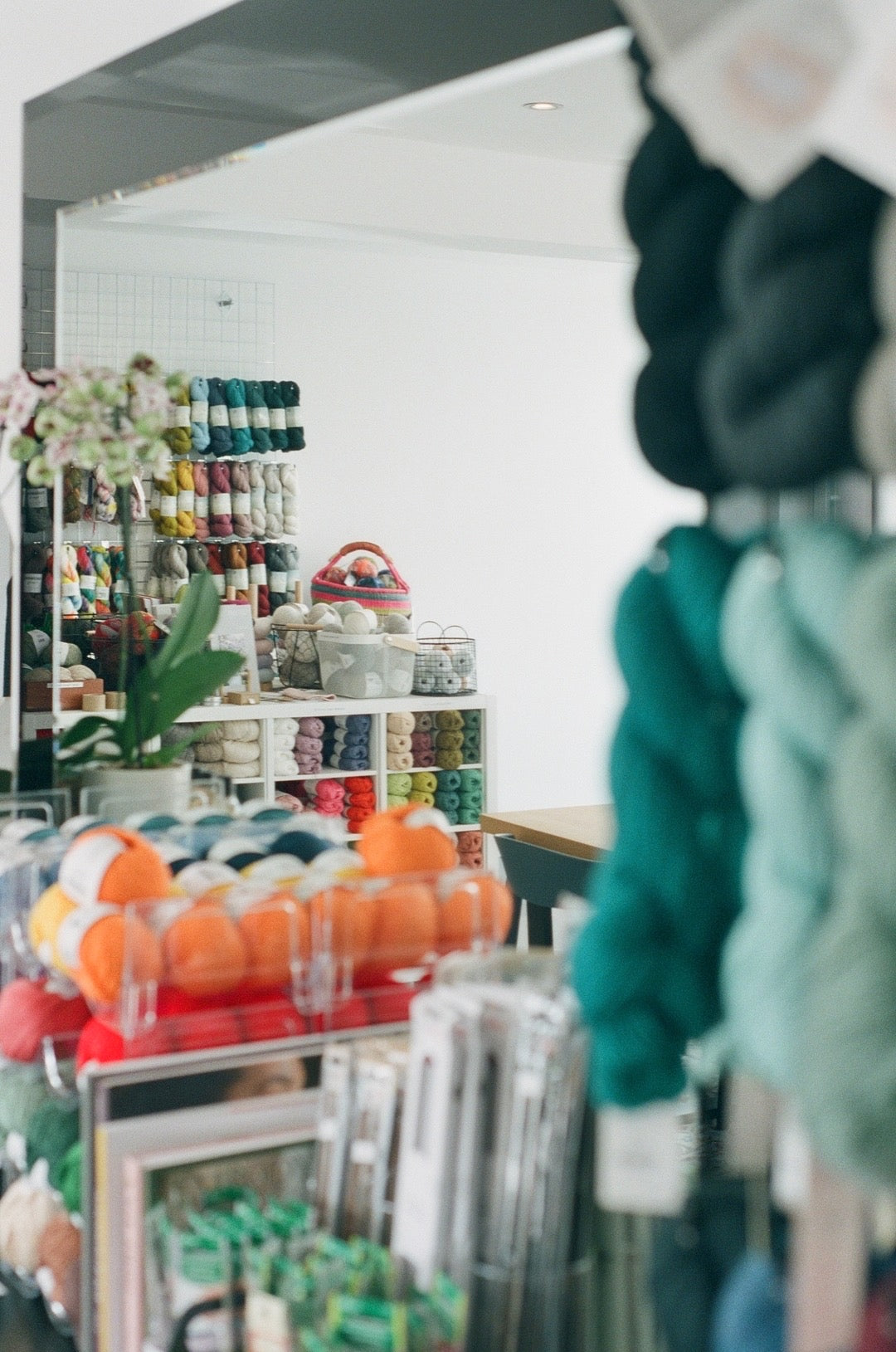 Tangled Yarn | Cotton Knitting Yarn