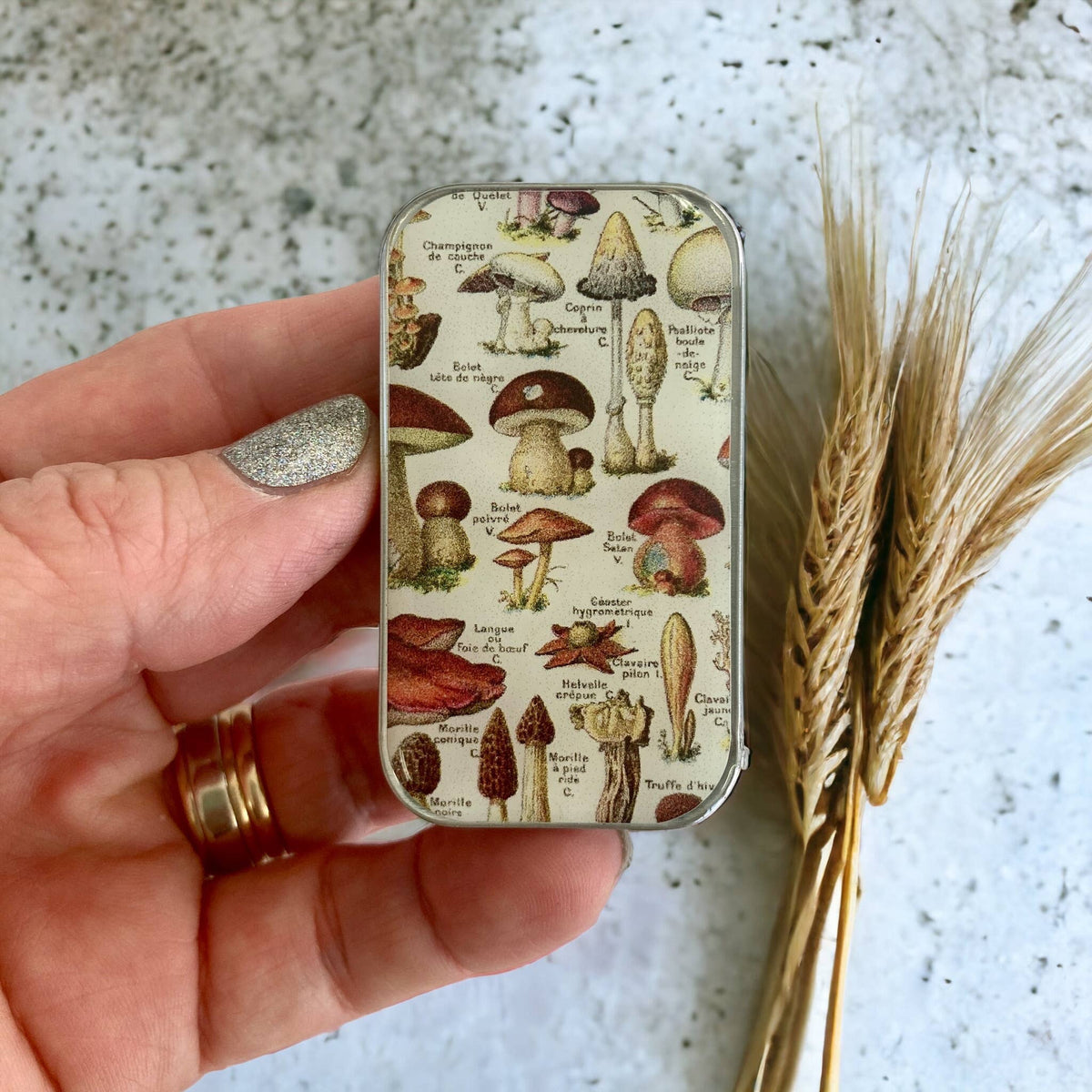 Small Notions Tin | Firefly