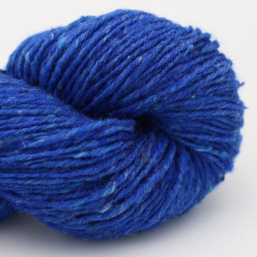 A close-up of a skein of variegated blue yarn with subtle lighter blue and white flecks, set against a plain white background.