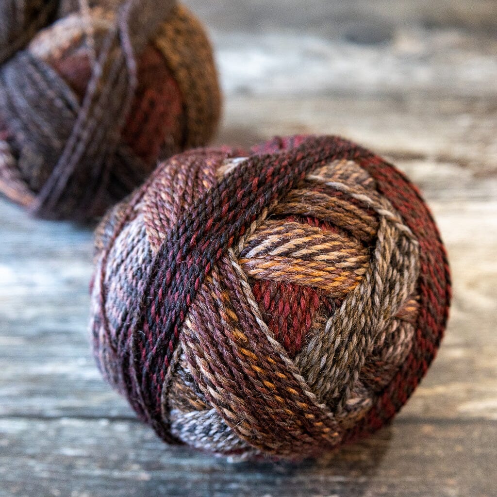 Zauberball Starke 6 | Late Autumn | Tangled Yarn UK