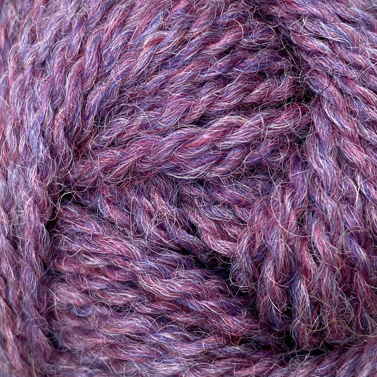 British Breeds | Thistle | Marie Wallin | Tangled Yarn UK