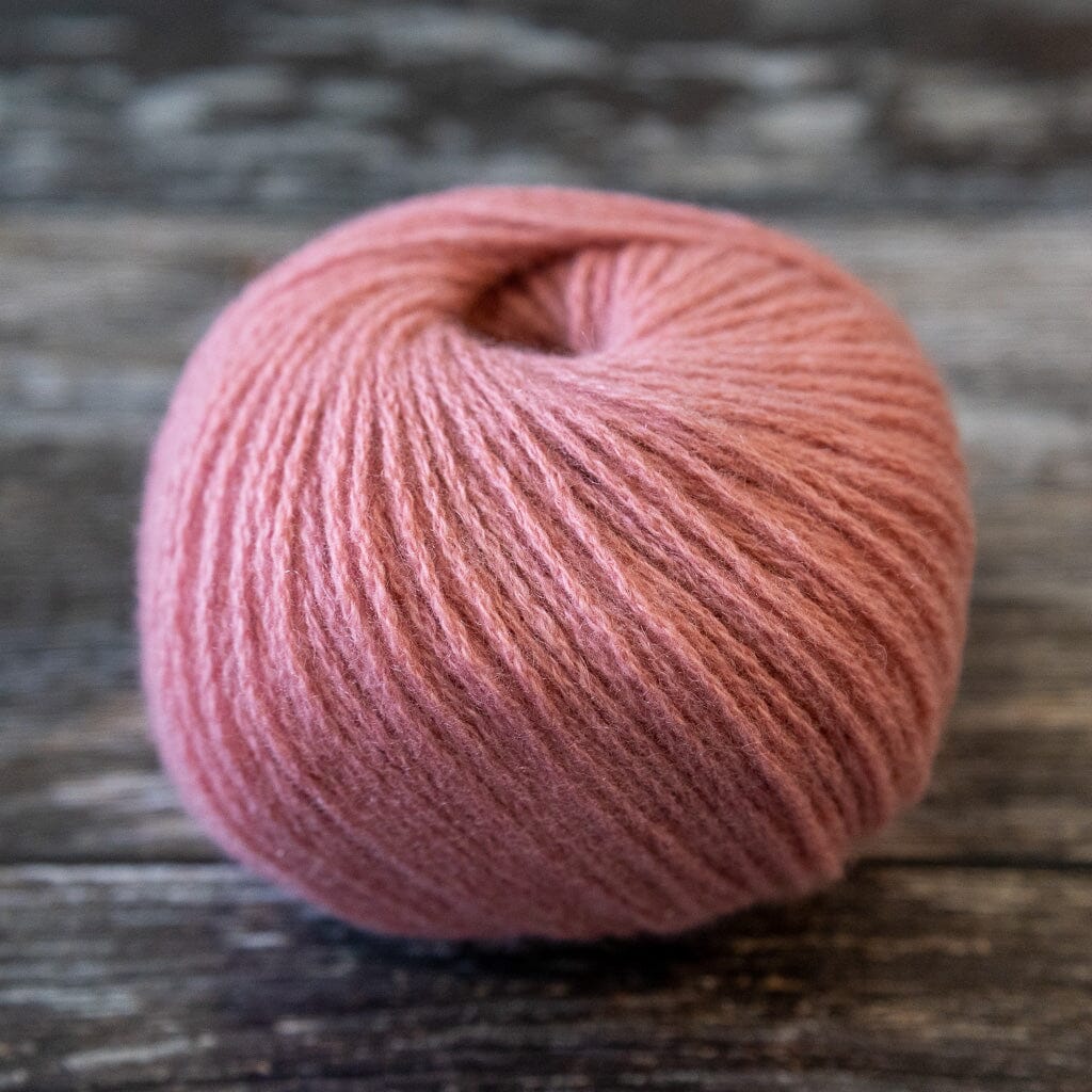 Cardiff Cashmere | Hashi | Tangled Yarn UK