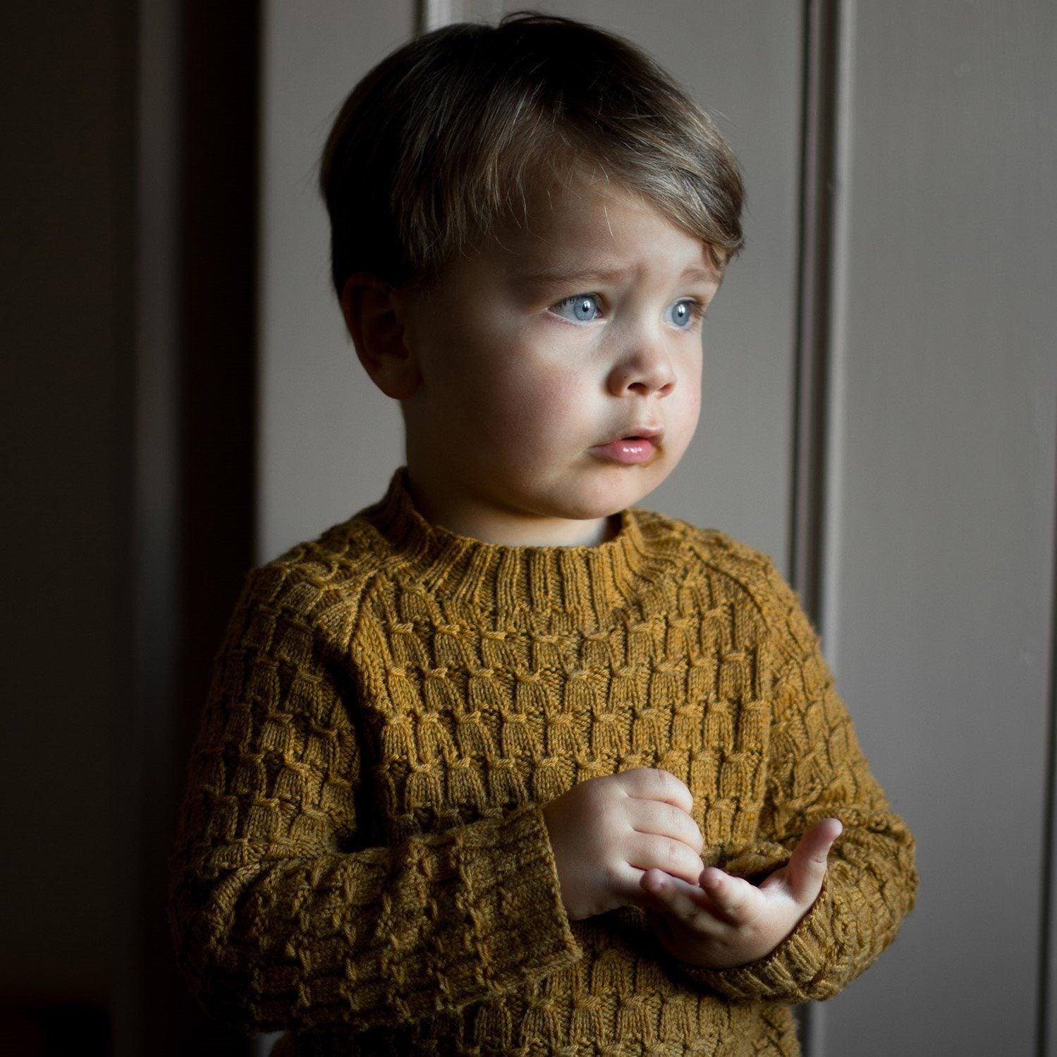 CaMaRose Viggo's Sweater [Trine Bertelsen] -  - Knitting Pattern