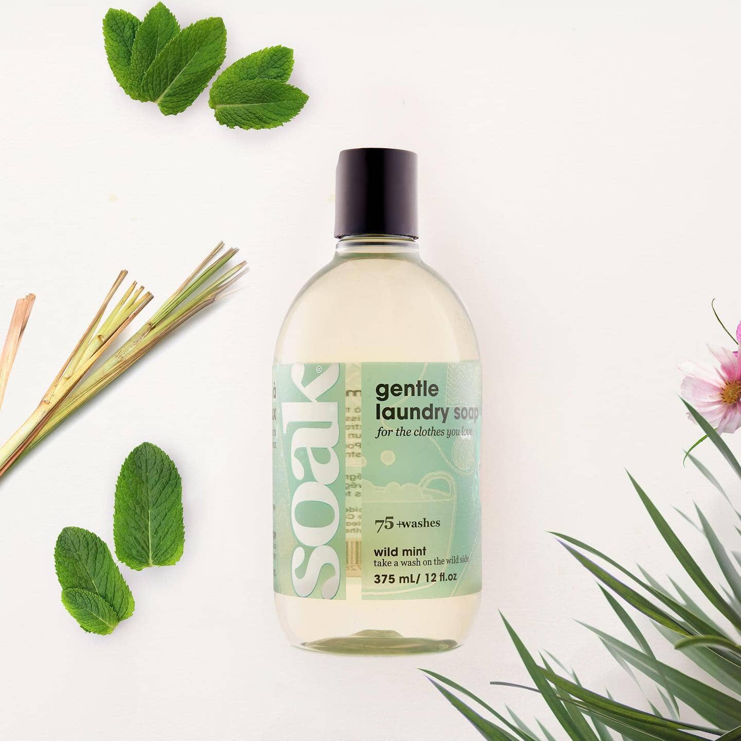 Soak Wash TWIN PACK Full Size 375ml Bottle 75 Washes Celebration Lacey Fig  Yuzu Pineapple Grove Scentless Wild Mint 