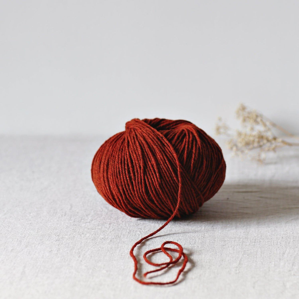 de rerum natura De Rerum Natura Gilliatt - érable - 