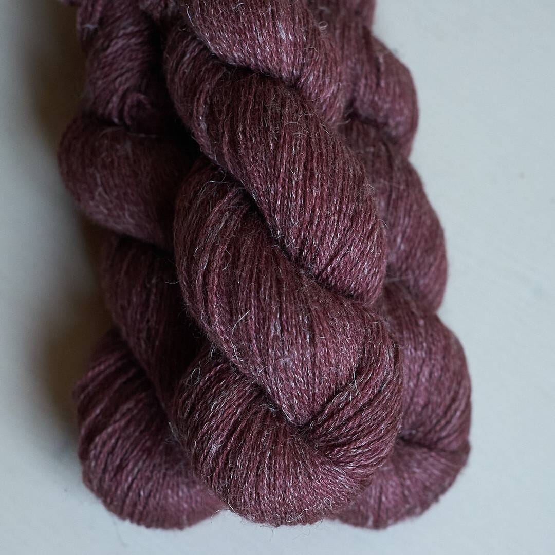 Lanivendole Aestiva