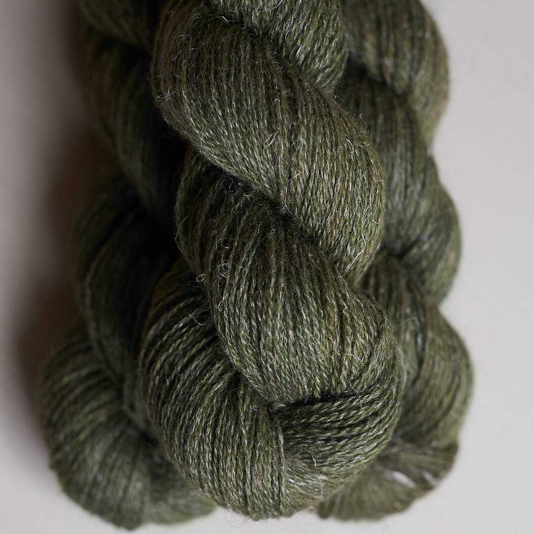 Lanivendole Aestiva