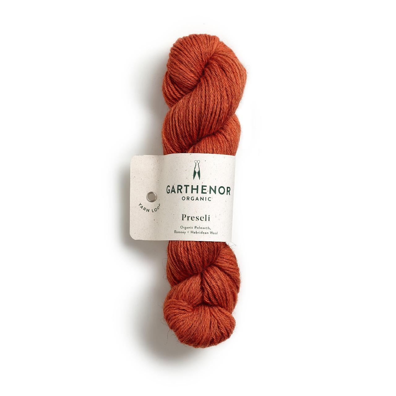 Garthenor Garthenor Preseli - *Sycamore - 4ply Knitting Yarn