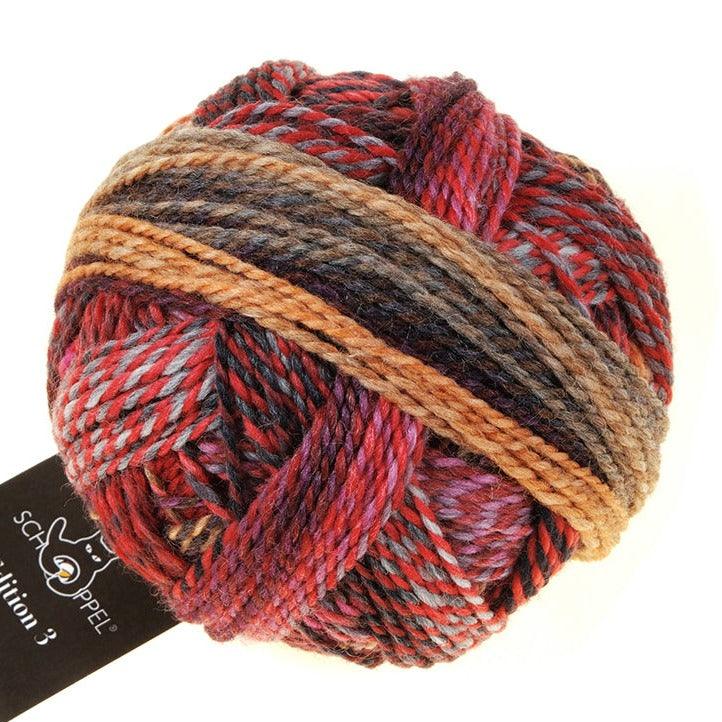 Schoppel-Wolle Zauberball Edition 3 - Aunt Emma (2361) - 4ply Knitting Yarn