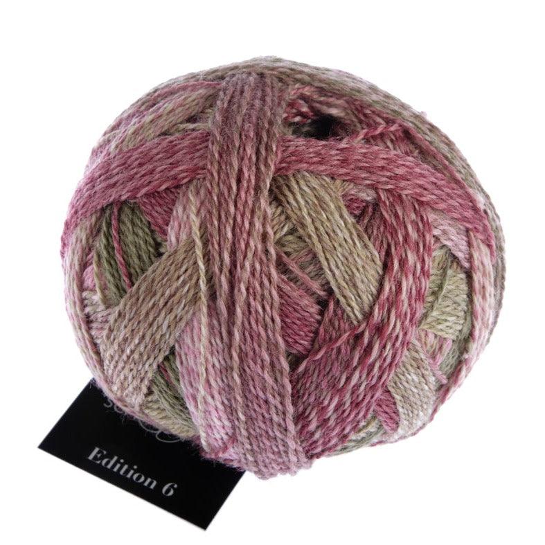 Schoppel-Wolle Zauberball Edition 3 - Third Class (2442) - 4ply Knitting Yarn